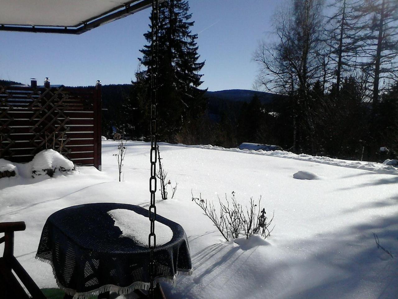 Hôtel Sonnige-Waldruhe-Am-Skiberg à Feldberg  Extérieur photo